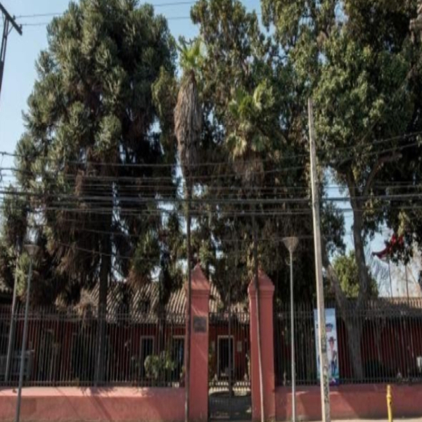Municipalidad 7